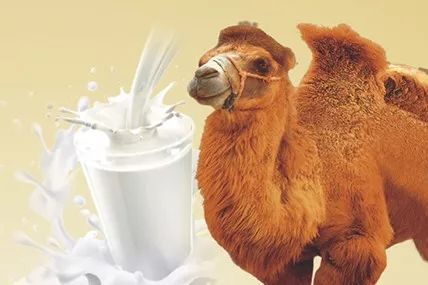 Z6ʱйٷվ
